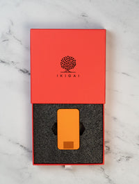 Mission Pill Case