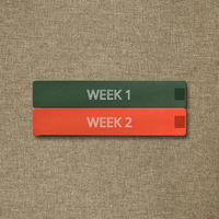 2-Week Case 2.0