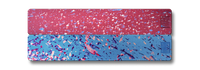 Weekly AM-PM Pill Case Bundle - Cherry Blossom