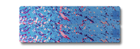 Weekly AM-PM Pill Case Bundle - Cherry Blossom
