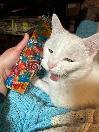 Customer photo of a Watercolor Weekly Vitamin Case from Debbie R.